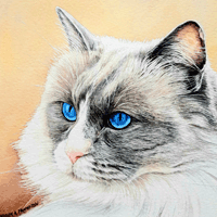 Karen Frampton, New Forest Artist, paintings, greeting cards, murals, slate, Hampshire, UK